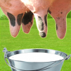 Thumbnail game - Milk The Cow